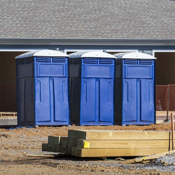 how often are the porta potties cleaned and serviced during a rental period in Balmville